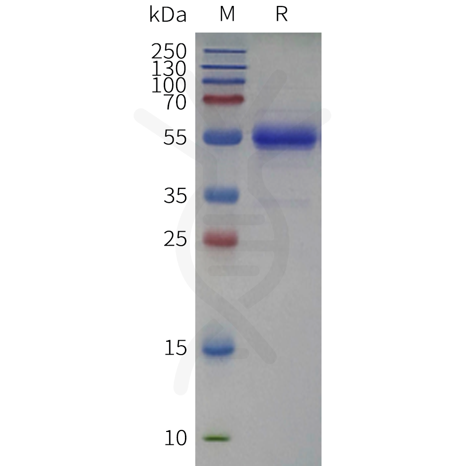 pme-c100122b-cd79b-sp1.png