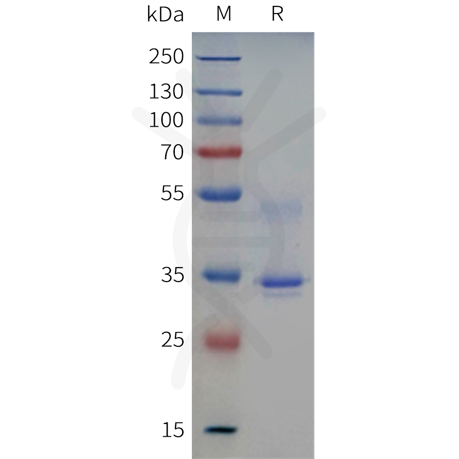 pme-c100128-tslp-sp1.png
