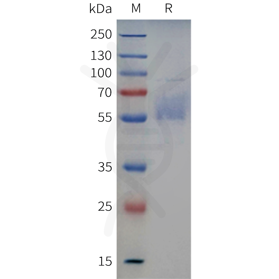 pme-c100129-clec9a-sp1.png