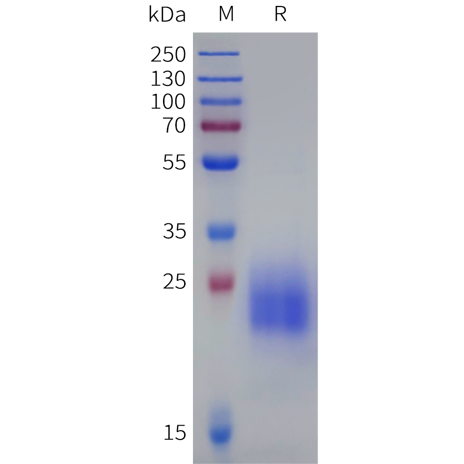 pme-d100004b-il31-sp1.png
