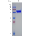 sp-pme d100006b pd1 sp1