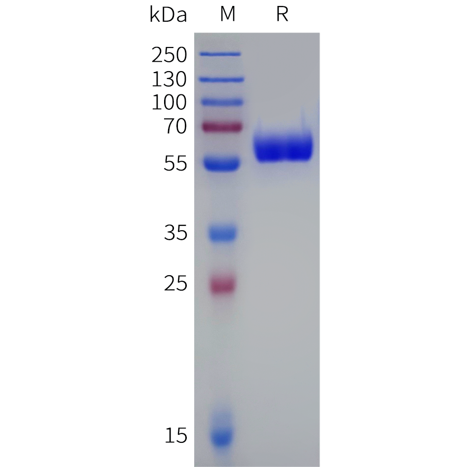 pme-d100006b-pd1-sp1.png