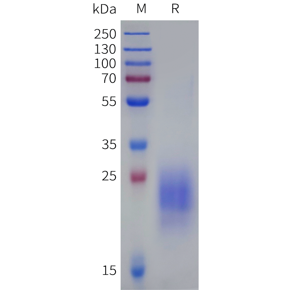 pme-f100001b-il31-sp1.png