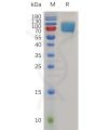 sp-pme m100047 b7 h2 sp1