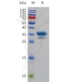 sp-pme m100059 tweakr sp1