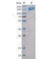 sp-pme100005 cd22 sp1