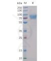 sp-pme100010 2b4 sp1