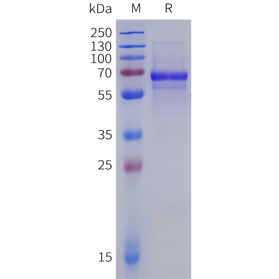 pme100022b-ox40-sp1.png