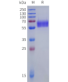 sp-pme100025b pd 1 sp1