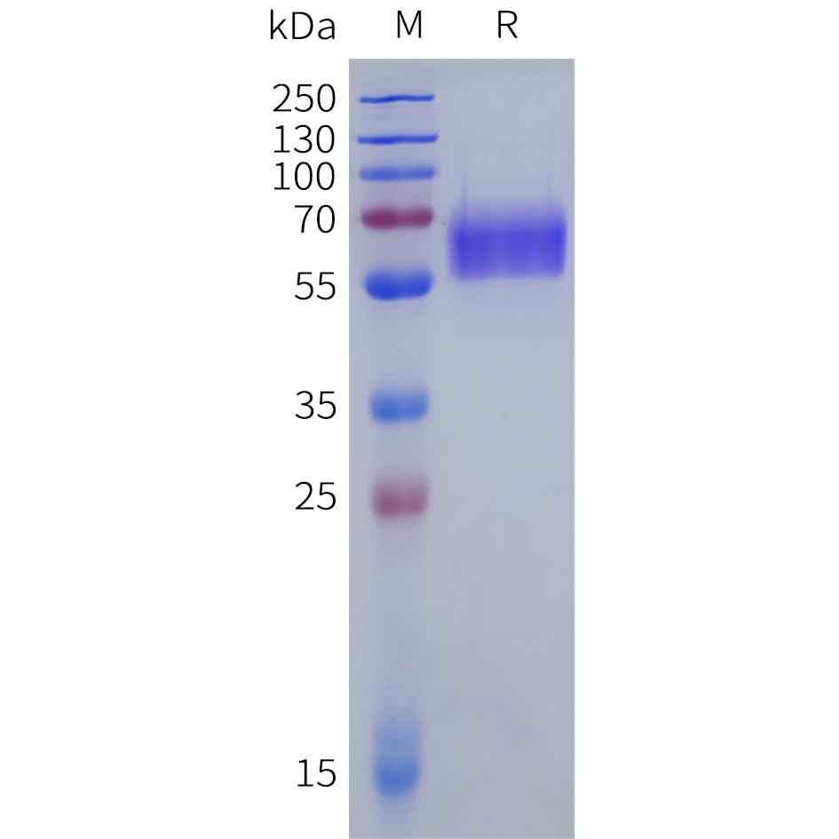 pme100025b-pd-1-sp1.png
