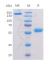 sp-pme100056 btn3a1 sp1
