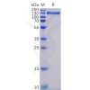 sp-pme100073 ace2 sp1