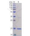 sp-pme100076 tnfa sp1