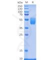 sp-pme100084 psca sp1