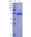 sp-pme100125b acpp sp1