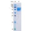sp-pme100507 cb1 sp1