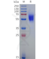 sp-pme100507b cb1 sp1