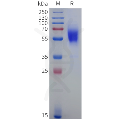 sp-pme100507b cb1 sp1