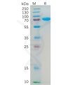 sp-pme100553 cd112 sp1