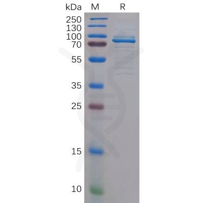 sp-pme100588 c mpl sp1