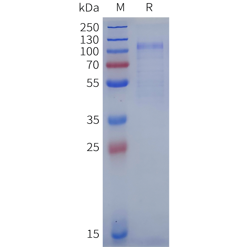pme100625b-fcrl5-sp1.png