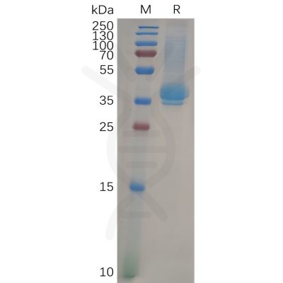 sp-pme100644 cd23 sp1