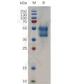 sp-pme100716 cd235a sp1