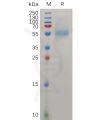 sp-pme100733 zp3 sp1