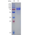 sp-pme100781b cd19 sp1