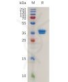 sp-pme100784 mcemp1 sp1