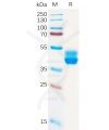 sp-pme100917 cb2 sp1