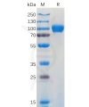 sp-pme100930 gm csfr sp1