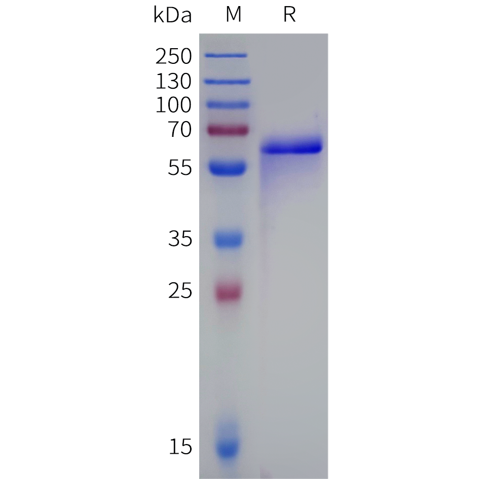 pme101051b-fgl1-sp1.png