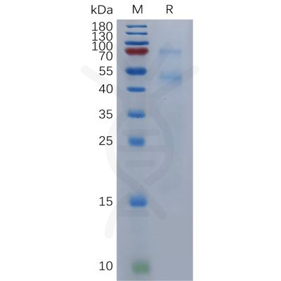 sp-pme101123 bmp6 sp1