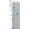 sp-pme101451 cadm3 sp1