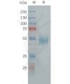 sp-pme101458 uts2r sp1