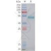 sp-pme101483 lair2 sp1