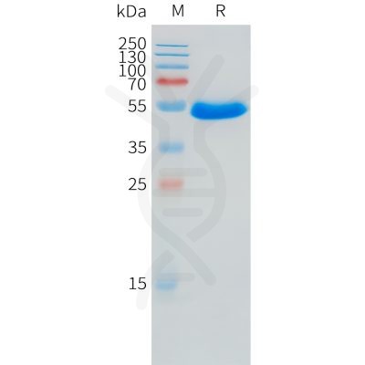 sp-pme101534 znrf3 sp1