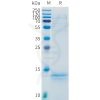 sp-pme101535 cd3e sp1