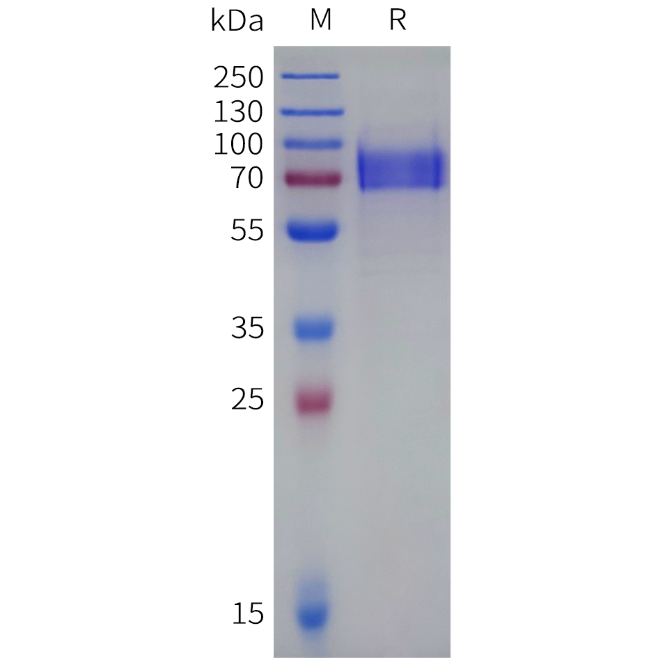 pme101558b-cd19-sp1.png