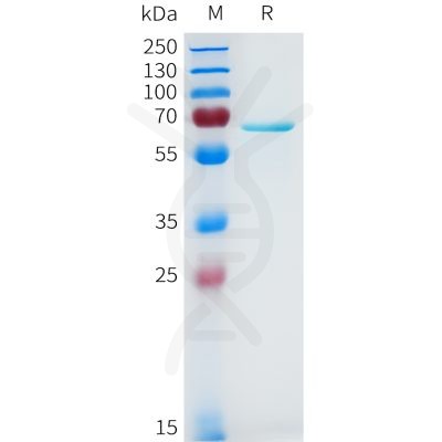 sp-pme101645 akt1 sp1