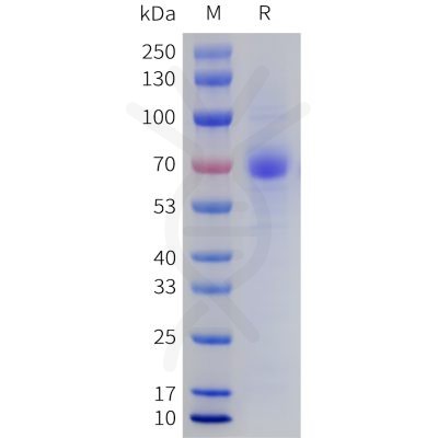 sp-pme101735 lilra4 sp1 1