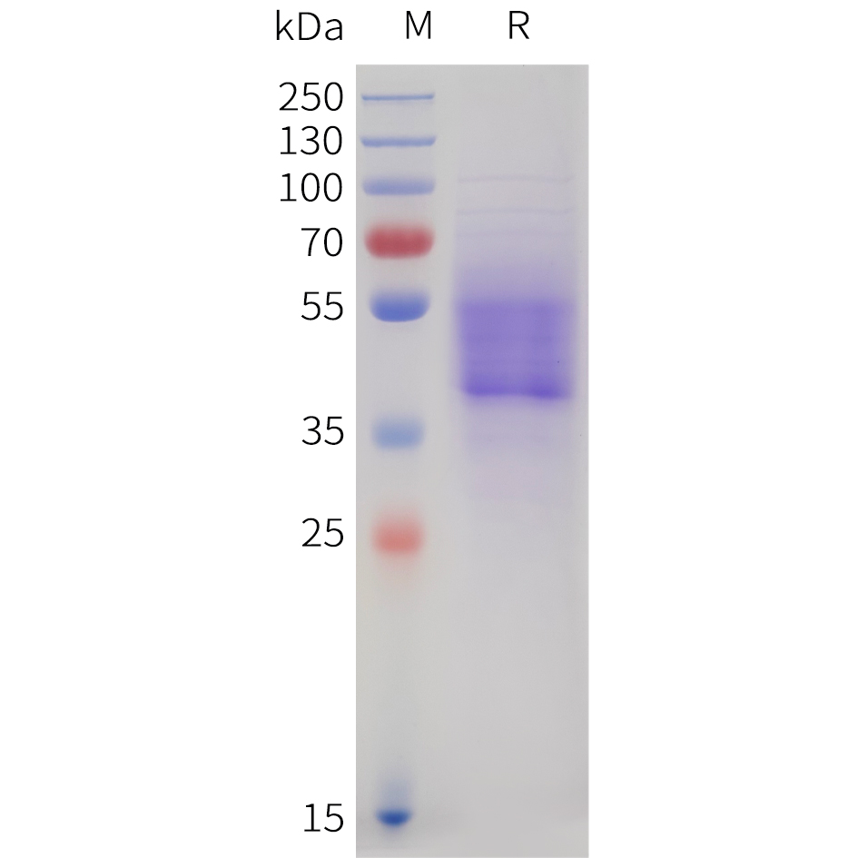 pme101747-cb1-sp1.jpg