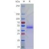 sp-pme101759 fam171b sp1