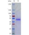sp-pme101759 fam171b sp1