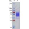 sp-pme101788 htr7 sp1