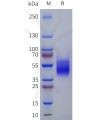 sp-pme101801 agtr2 sp1