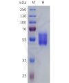 sp-pme101814 vipr1 sp1