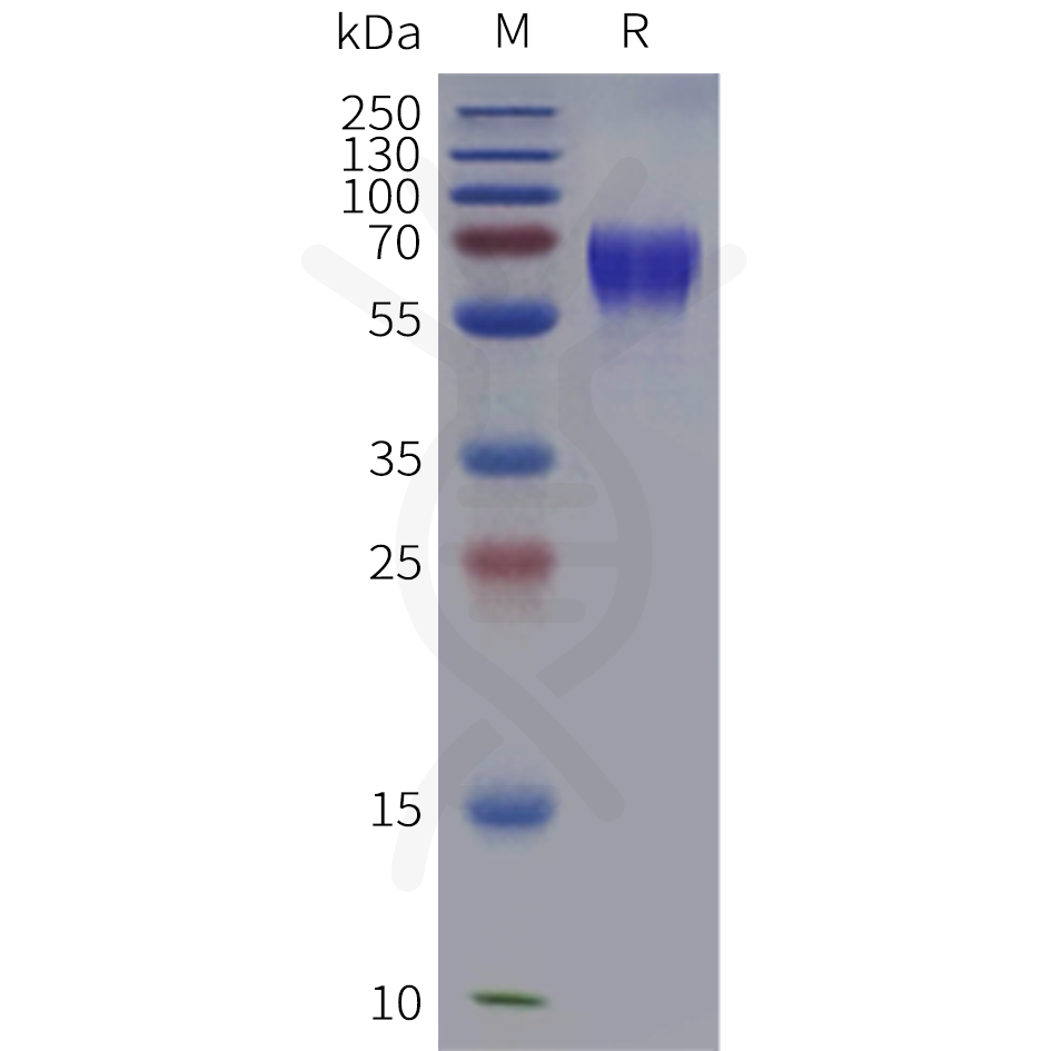 pme101986-cd300a-sp1.png