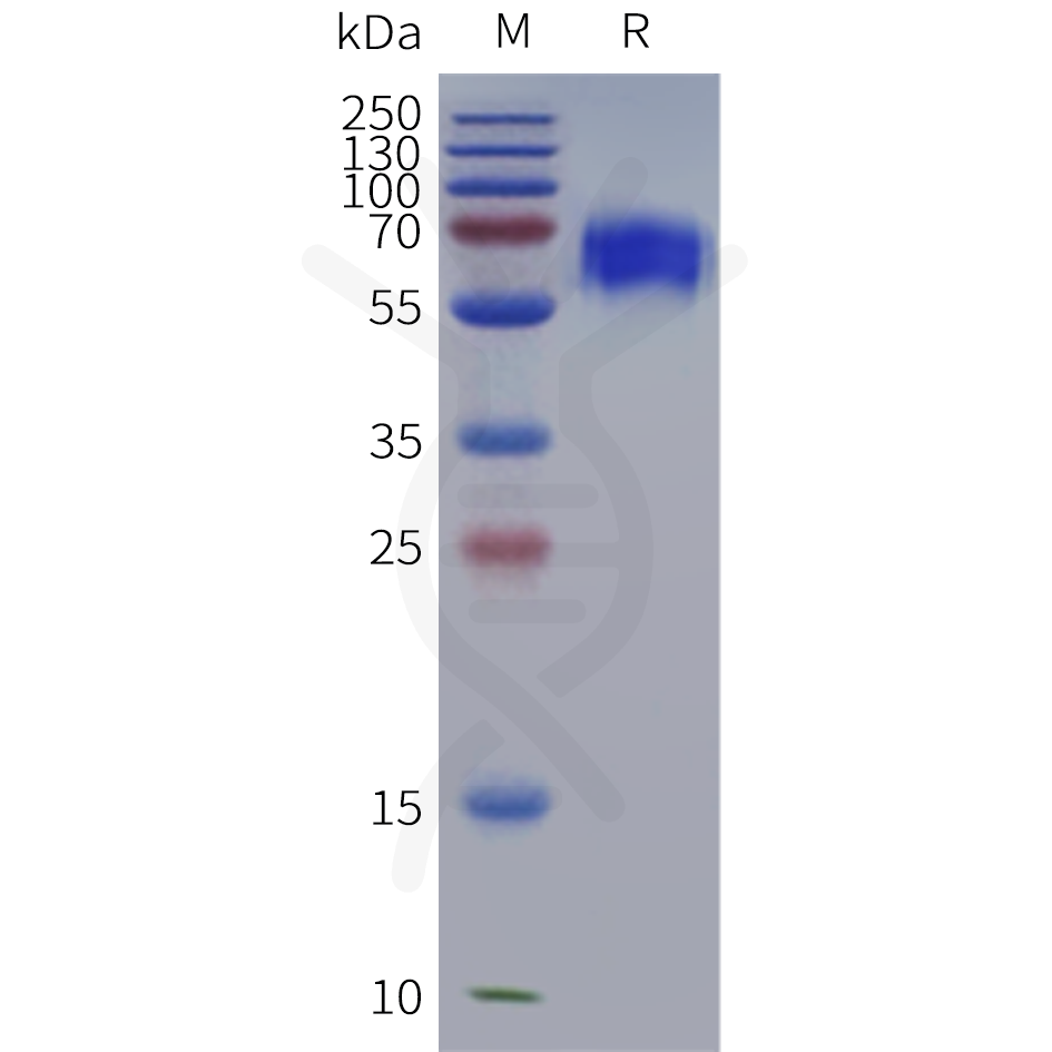 pme101986b-cd300a-sp1.png